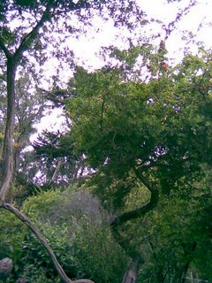 Lunch in Golden Gate Park, San Francisco