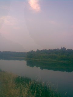 Sacramento River along Highway 45
