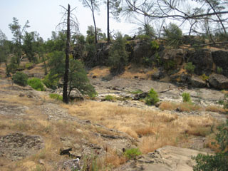 Dry Creek